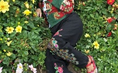 人与善XUANWEN在线播放